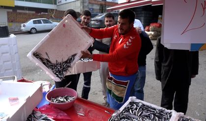 Samsunspor'un başarısını, 75 kasa hamsiyi, kilosunu 25 TL'den satarak kutladı