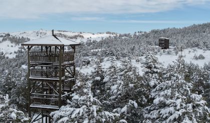 Kardeşler Ormanı'ndan 'karlı' Sivas manzarası