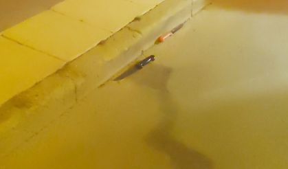 16 yaşındaki Mustafa, akranı tarafından bıçaklanarak öldürüldü