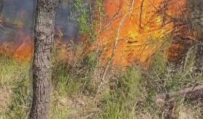 Çatalca'da ormanlık alanda çıkan yangın söndürüldü