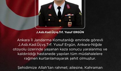 Otomobilin çarptığı Jandarma Astsubay Üstçavuş Ergün şehit oldu