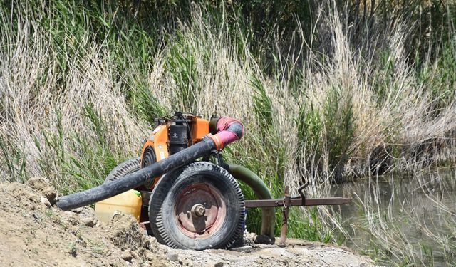 Ulaş Gölü'nde su seviyesi azaldı; 'Doğal habitat bozuluyor' uyarısı