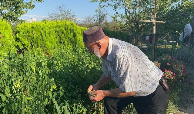 Düzce'de bir vatandaş gördüğü rüya sonrası kendi mezar taşını yaptırdı