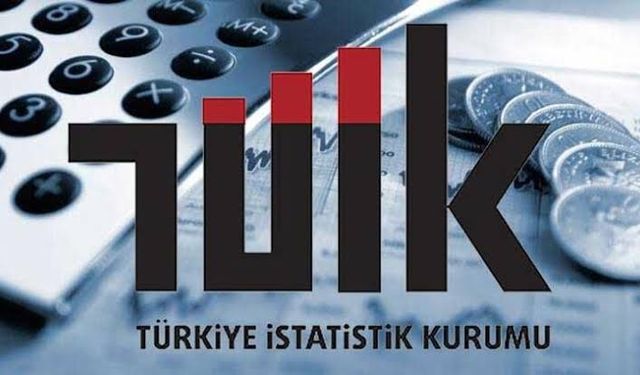 TÜİK: İhracatın yüzde 43,4'ünü büyük ölçekli girişimler yaptı