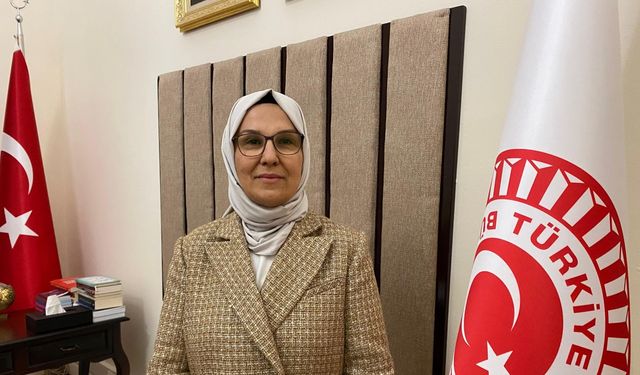 Çocuk Hakları Alt Komisyonu Başkanı Katırcıoğlu: Çocukların internet kullanımına düzenleme gelebilir