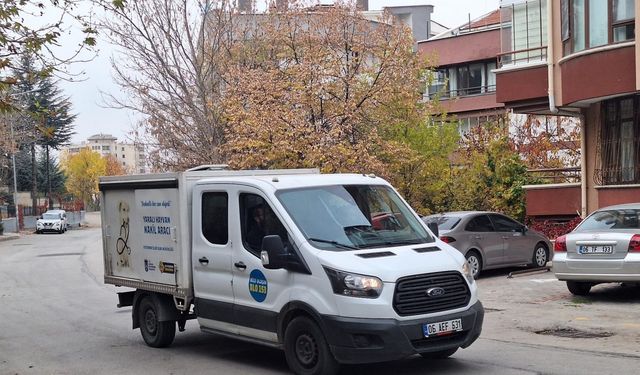 Ankara’da yürüyüşe çıkan profesör, köpeklerin saldırısında yaralandı