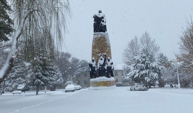 Erzincan'da yüzlerce köy yolu ulaşıma kapandı