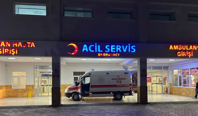 Eski muhtar arazi tartışmasında kardeşini öldürüp, oğlu ve diğer kardeşini yaraladı