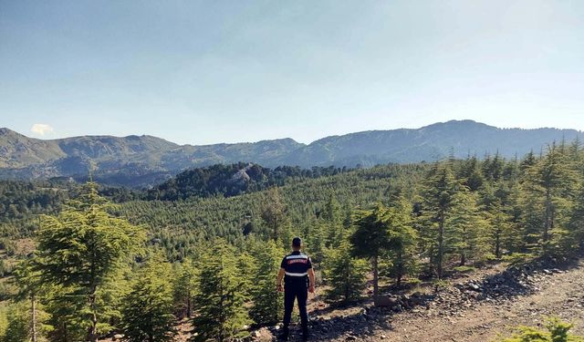 Muğla'da ormanlara girişler yasaklandı