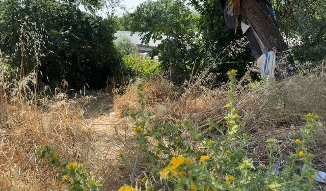 Avcılar'da günlerce haber alınamadı; otluk alanda cansız bedeni bulundu