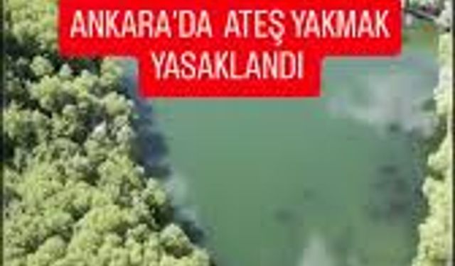 Ankara Valiliği 30 Ağustos’a kadar ateşli piknik faaliyetleri yasaklanmıştır