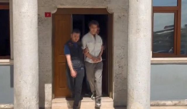 Danla Biliç'i darbeden eski sevgiliye 1 yıl 6 aya kadar hapis istemi