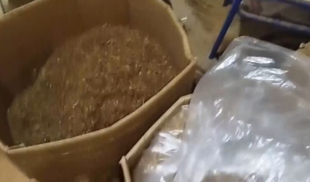 Maltepe’de sigara imalathanesine operasyon: 1 gözaltı