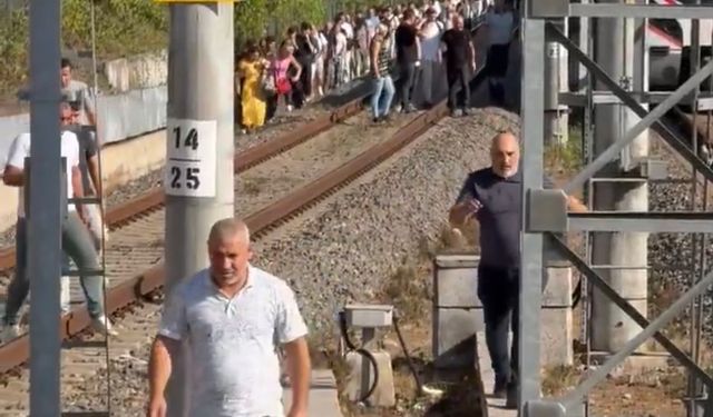 Marmaray hattına ağaç devrildi, yolcular demir yolunda yürüdü