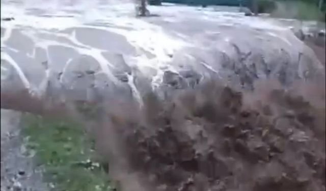 Artvin sağanak etkili oldu; dere taştı, köprü yıkıldı
