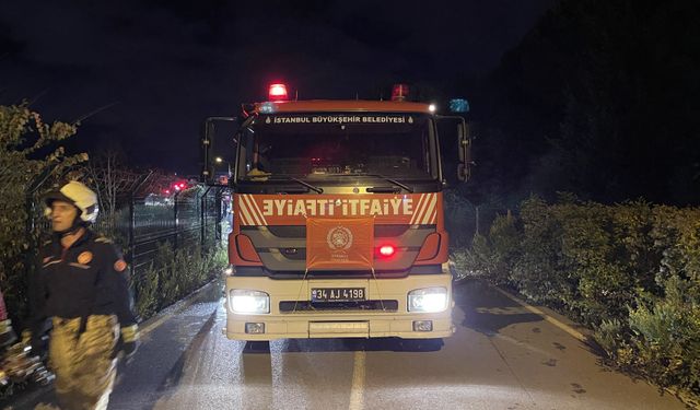 Beykoz'da orman yangını büyümeden söndürüldü