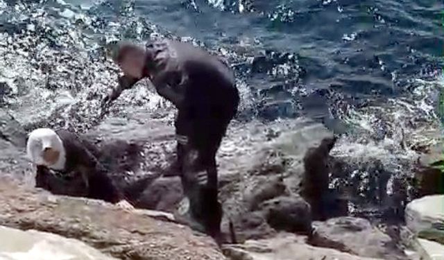 Avcılar sahilinde kayalıkların arasına düşen kadını güvenlik görevlisi kurtardı