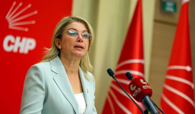 CHP'li Kaya: İstanbul Sözleşmesi'nden çekilmemiz, telafisi olmayan hak kayıpları doğurdu