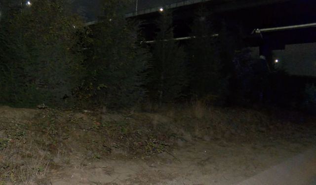 Serdar Öktem cinayeti: Şüpheliler Arnavutköy'de yakalandı