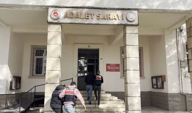 Tunceli merkezli 31 ilde silah kaçakçılığı operasyonu: 60 gözaltı