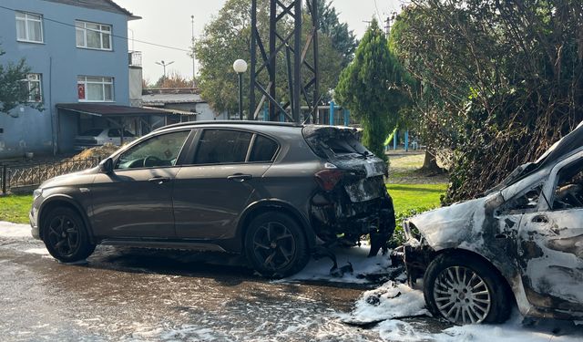 Park halindeki otomobilde çıkan yangın diğer araca sıçradı