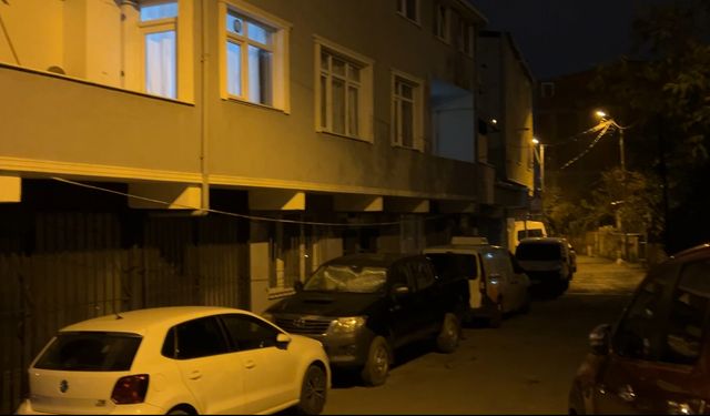 Sarıyer'de mal paylaşımı kavgasında babasını sırtından bıçakladı: Balık poşetinden akan suya sinirlendi saldırdı