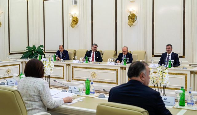 Cumhurbaşkanı Yardımcısı Yılmaz, Azerbaycan Milli Meclis Başkanı Gafarova ile görüştü