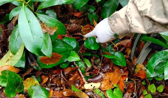 Dere yatağında cansın bedeni bulunan anne ve oğlunun hipotermi sonucu öldüğü belirlendi