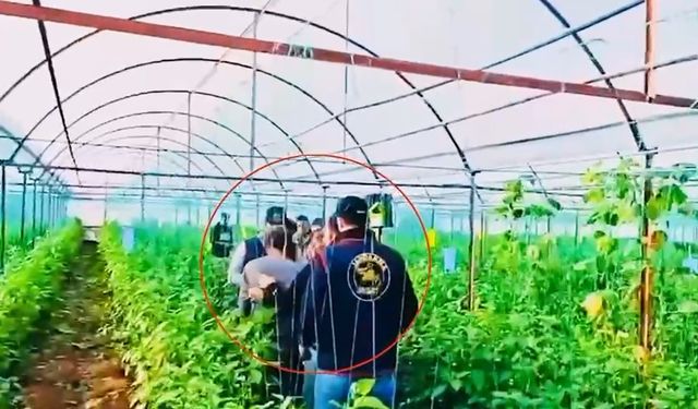 Diyarbakır'da 7 yıl önce işlenen cinayetin hükümlüsü JASAT tarafından Antalya'da yakalandı