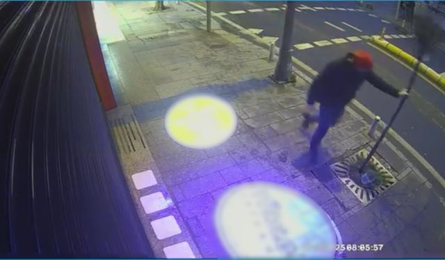 Kağıthane'de sinirlenip direkleri tekmeledi; ağaçlara zarar verdi