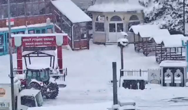 Kastamonu'da kar yağışı nedeniyle 202 köy yolu kapandı