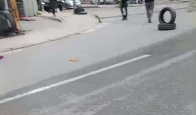 Sürücüsünün geri manevra yaptığı kamyonetin çarptığı Nisanur, öldü