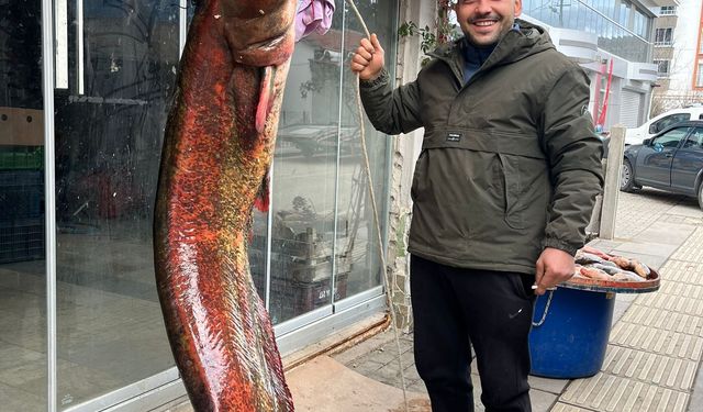 Çayırhan Gölü'nde balıkçı ağlarına 2 metrelik yayın balığı takıldı