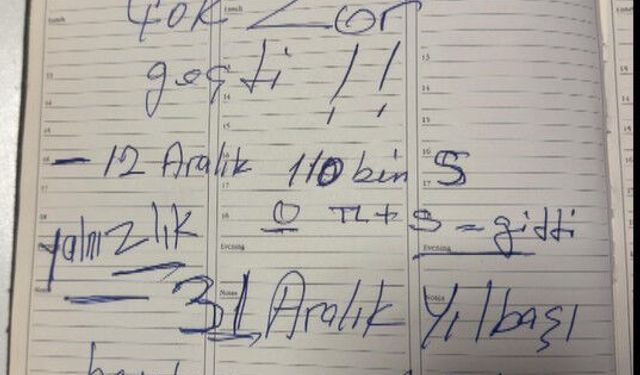 Emekli öğretmeni 117 bin dolar dolandırdı, suç ortağı payını ödemeyince ihbar etti