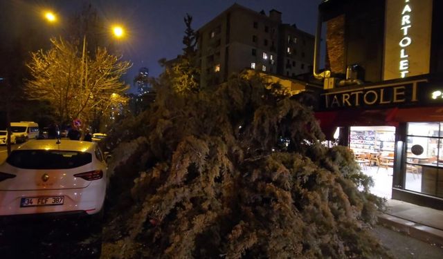 Fırtına nedeniyle Beylikdüzü'nde 15 katlı binanın dış cephesi uçtu; Ataşehir'de ağaç devrildi
