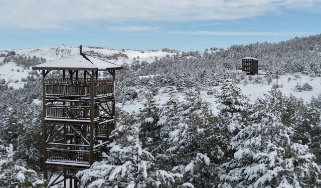 Kardeşler Ormanı'ndan 'karlı' Sivas manzarası