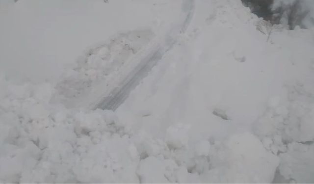 Beytüşşebap'ta çığ nedeniyle 3 köy yolu ulaşıma kapandı