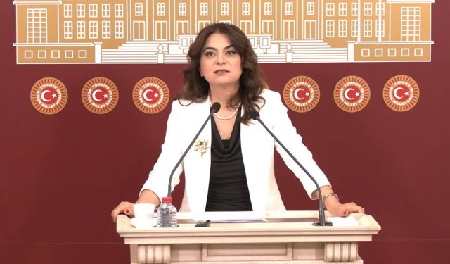 DEM Parti'li Koçyiğit: Türkiye'nin geleceği için rapor önemli bir eşik olacak