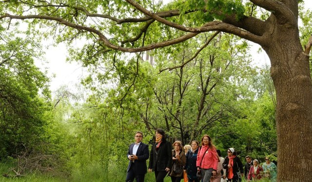 Üsküdar Belediyesi: Validebağ Korusu'nda yaptığımız çalışmalar Avrupa'nın en iyi uygulamaları arasında