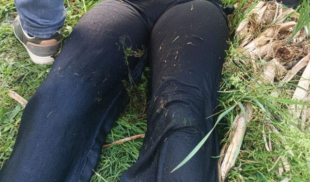 Sakarya'da Tabiat Parkındaki gölette kadın cesedi bulundu
