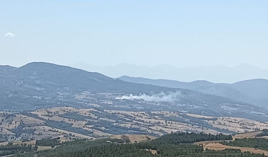 Adana'da orman yangını