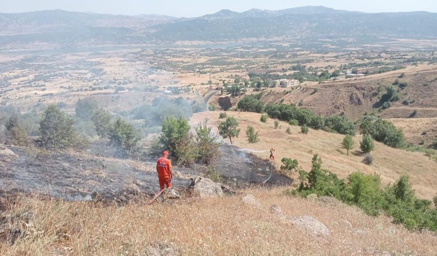 Bingöl'deki örtü yangını söndürüldü