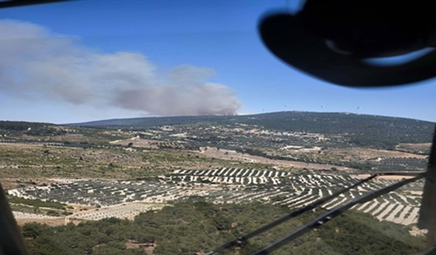 Manisa Soma'da orman yangını