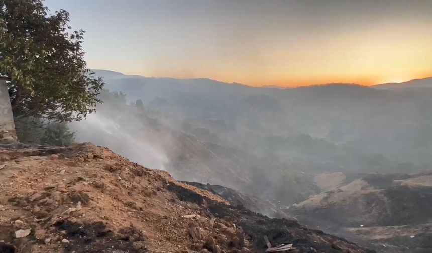 Bingöl'de çıkan orman yangını, söndürüldü