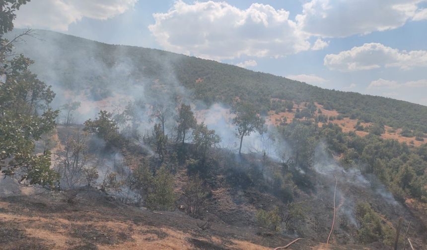 Bingöl'de orman yangını 2 saatte söndürüldü