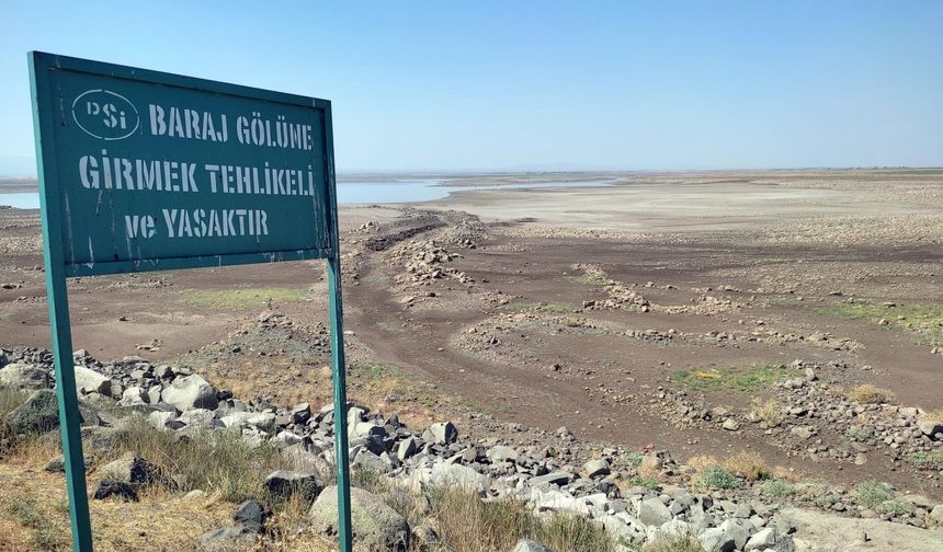 Devegeçidi Baraj’ında ‘Asya sazanı’ ölümü