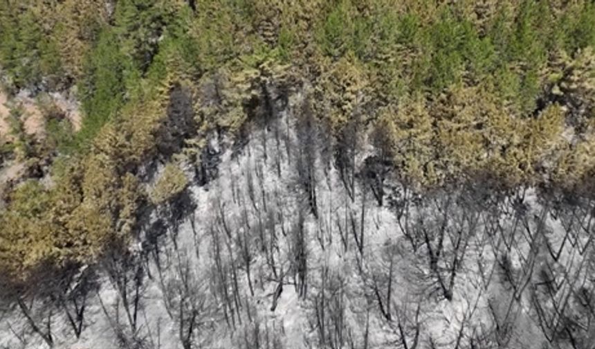 Karabük'te orman yangının tahribatı havadan görüntülendi