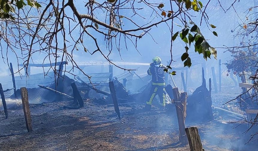 Denizli’deki ahır yangınında 93 küçükbaş öldü