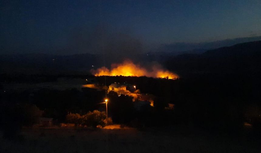 Erzincan'da çıkan örtü yangını saatler içinde söndürüldü