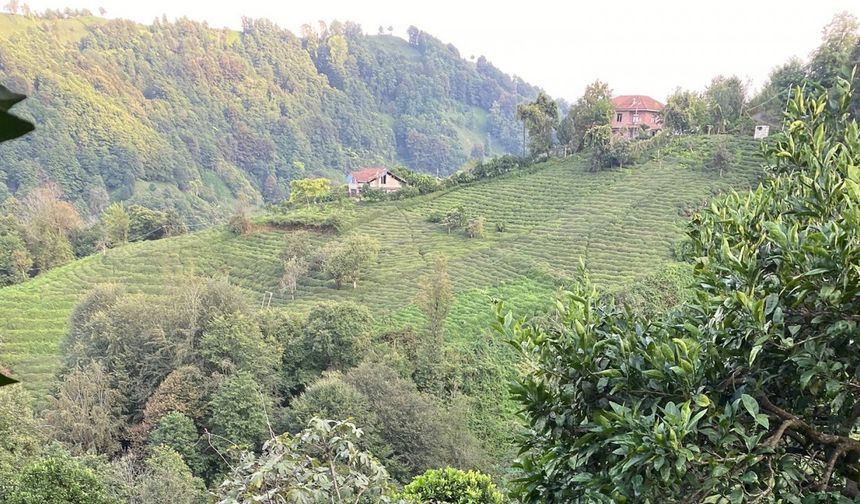 Rize'de 'ilkel teleferik'ten düşen kadın yaralı olarak kurtarıldı